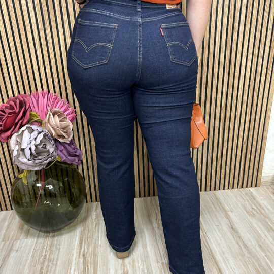 DENIM FLARE TIPO LEVIS