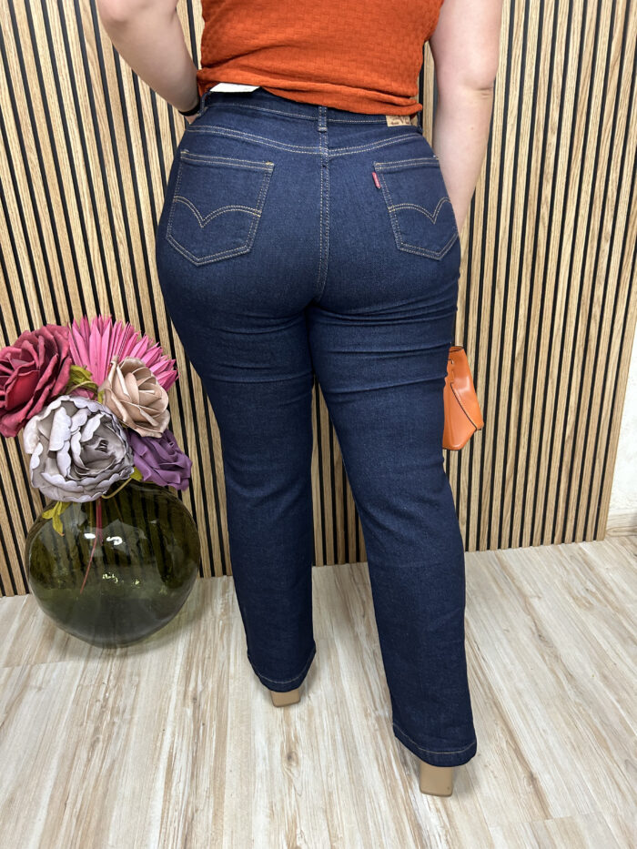 DENIM FLARE TIPO LEVIS